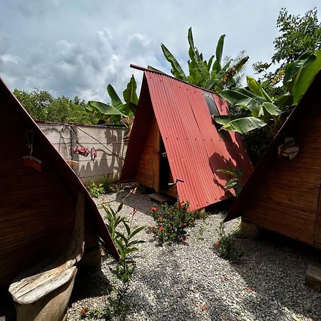 Ballena Oasis Homes & Glamping Uvita Luaran gambar