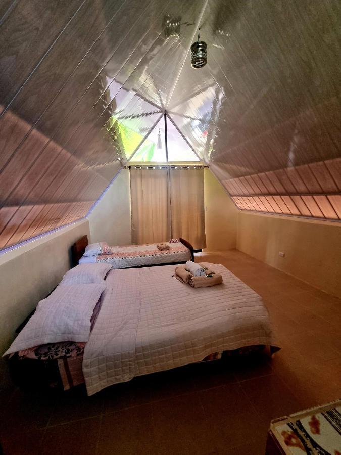 Ballena Oasis Homes & Glamping Uvita Luaran gambar