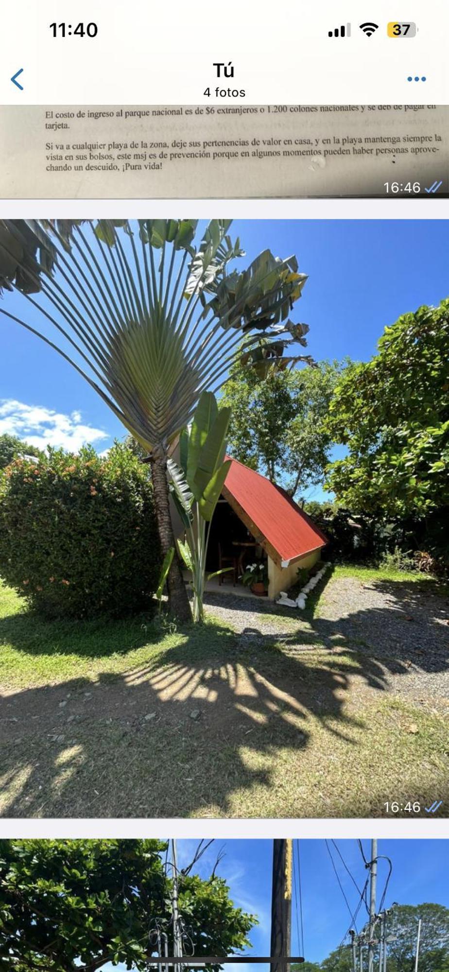 Ballena Oasis Homes & Glamping Uvita Luaran gambar