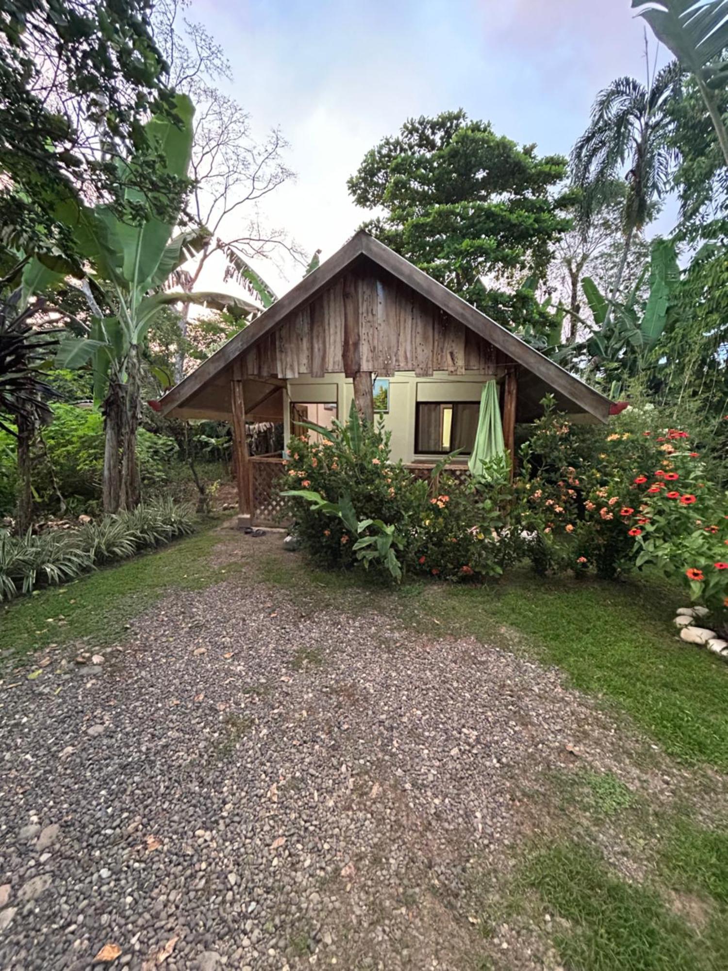 Ballena Oasis Homes & Glamping Uvita Luaran gambar