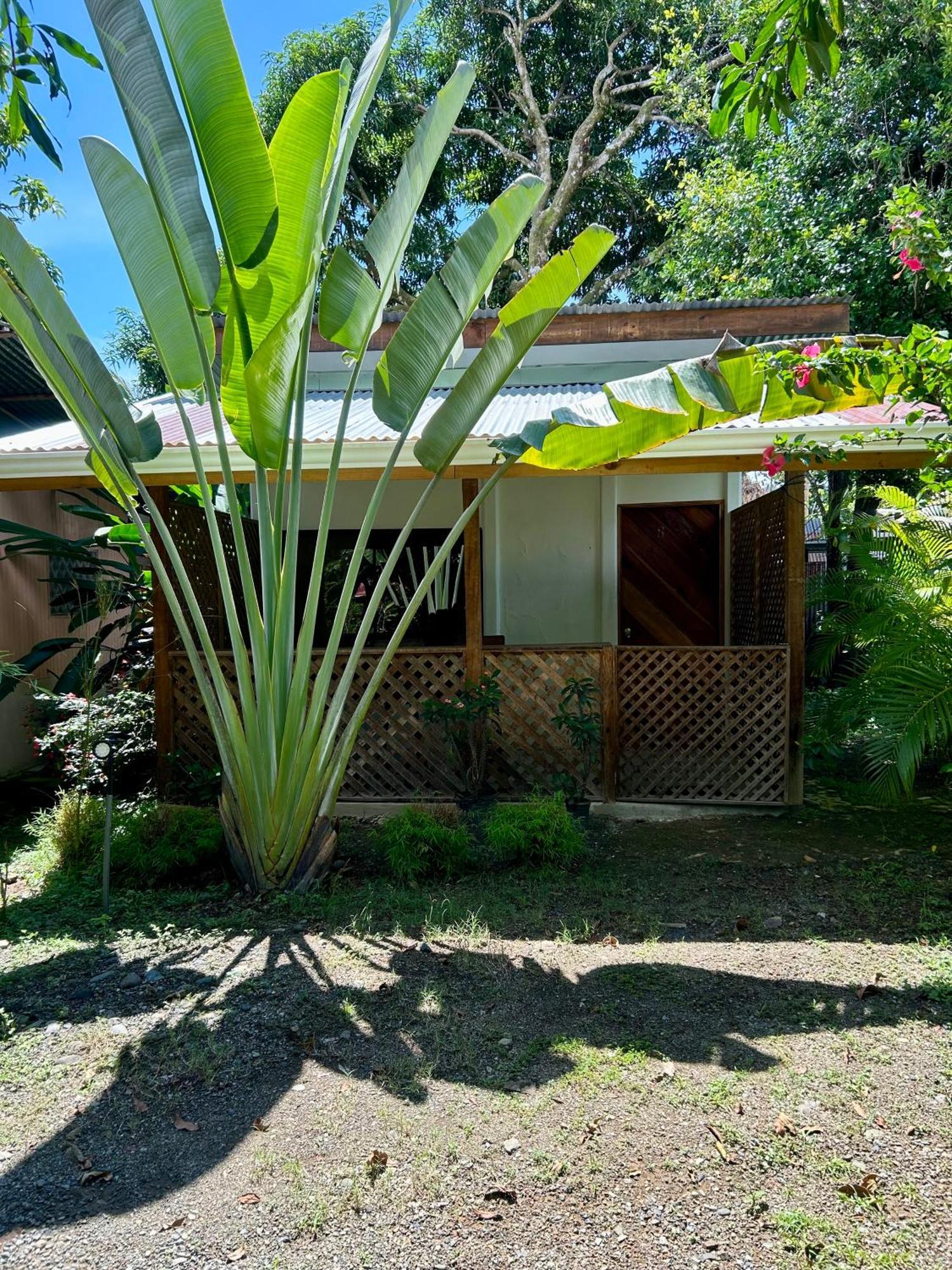 Ballena Oasis Homes & Glamping Uvita Luaran gambar