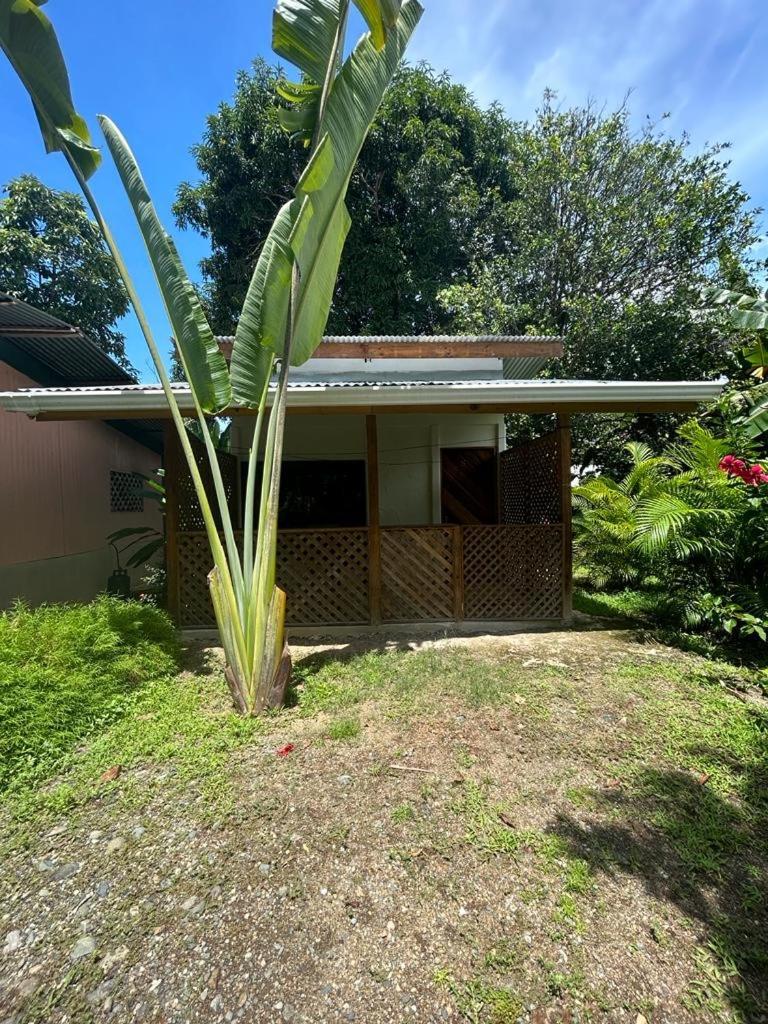 Ballena Oasis Homes & Glamping Uvita Luaran gambar
