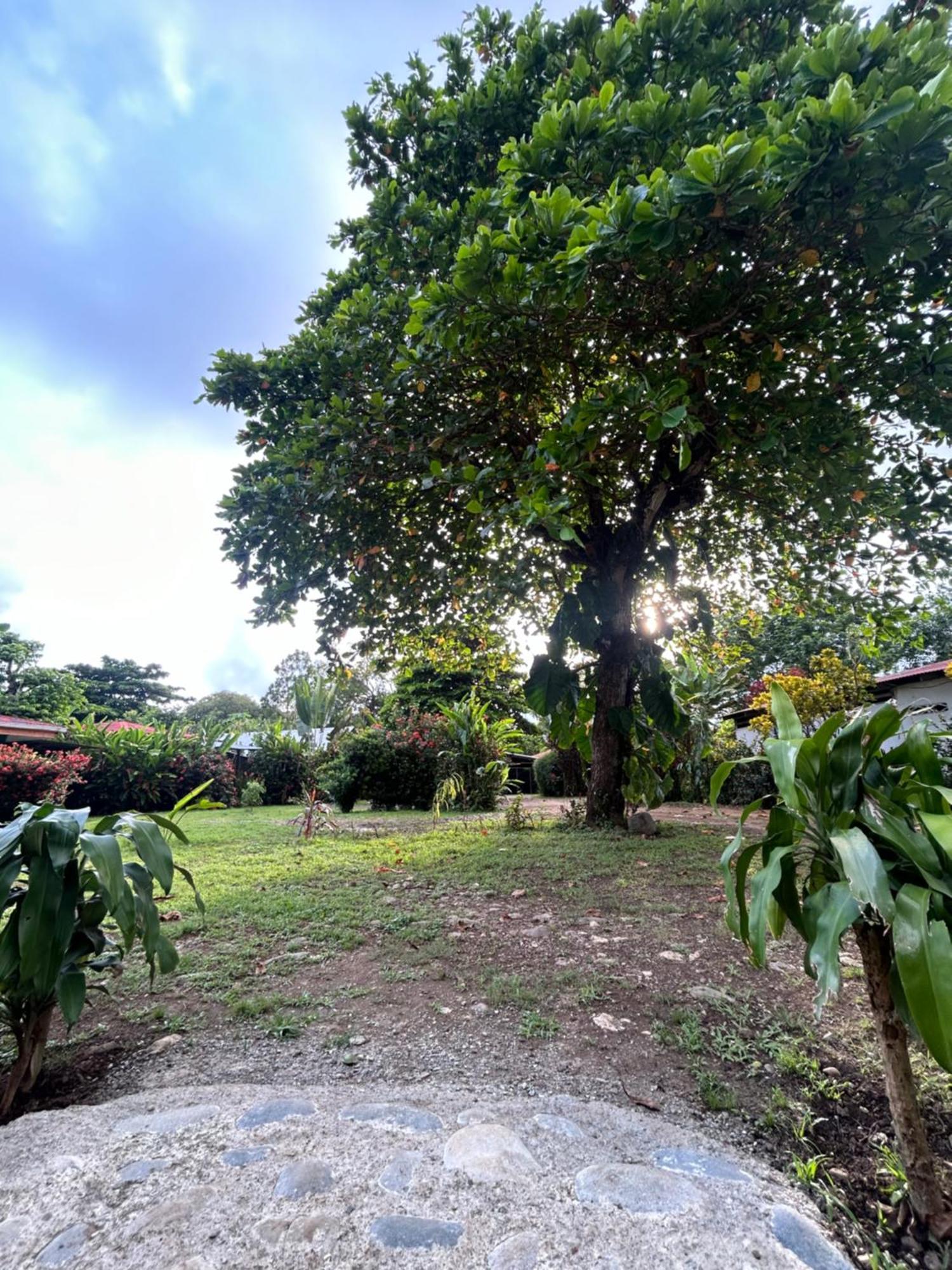 Ballena Oasis Homes & Glamping Uvita Luaran gambar